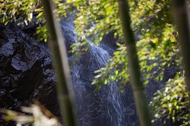 传《旗帜的传说》开发商打造Xbox独占 首批细节曝光