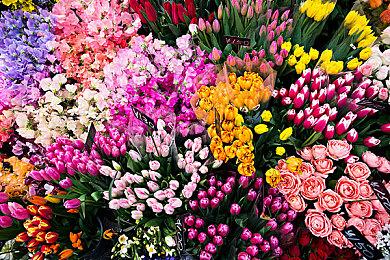 《VALORANT》第三幕第三章预告 新特工11月16日上线